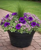 12" ANNUAL PATIO POT