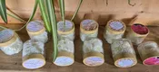 Luxurious Body Butter — SEA GYPSY GIFTS