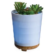 Airomé Potted Succulent Medium Diffuser