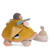Activity Turtle