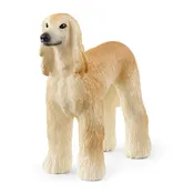 Afghan Hound 13938