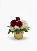 24 K