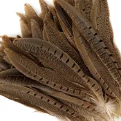 10 PC/PKG  RINGNECK PHEASANT TAILS  8-10" - NATURAL