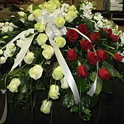 CASKET COVER