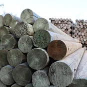 5″-6″ x 10′ Green treated posts