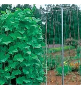 Cassie's Cage Bean and Pea Tower