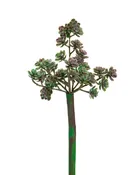 10" Sedum Artificial Foliage Stem Spray