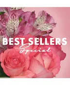 BEST OF THE BEST SPECIAL