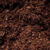 SCREENED LEAF COMPOST