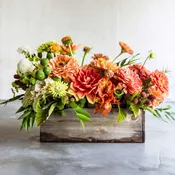Fall Spice