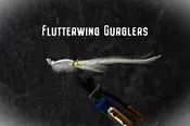 Flutterwing Gurgler
