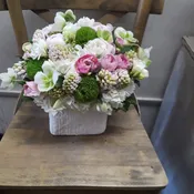 LOVE BLOOMS