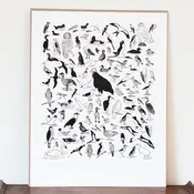 100 Birds Letterpress Print