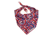 Bandana Kaleidoscope