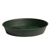 16” Saucer Grn