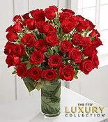 Abundance of Roses
