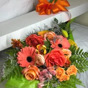 The Peach and Orange Box