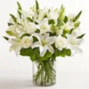 classi all white