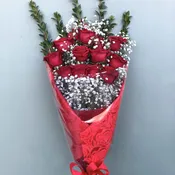 Long Stem Red Roses One Dozen