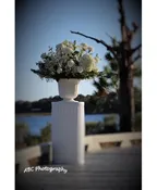 AILSE ARRANGEMENT