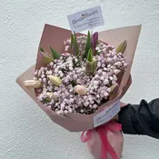Need your Tulips