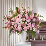 Blushing Elegance Tribute