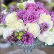 Lavender Bliss