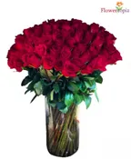 100 ROSAS ROJAS EN UN FLORERO