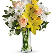 Daisies and Sunbeams