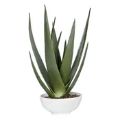 Uttermost 60177 Evarado Aloe Planter