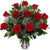 One Dozen Roses