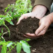 Topsoil Plus
