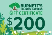 $200 Gift Certificate $200