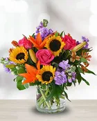 Sunburst of Summer