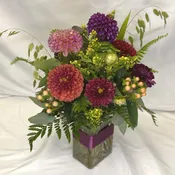 Delightful Dahlias