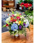 SPRING EXPRESSIONS