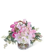BLUSH AND WILLOW