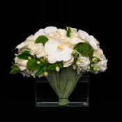 White Textural Expressions