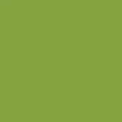 Designer Essentials - Tula Pink Solids - Matcha CSFSESS-MATCHA