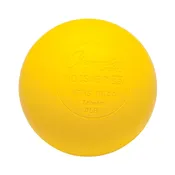 Champion Case Balls Yellow (120)