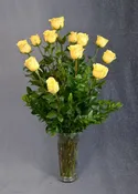 A Dozen Yellow Roses