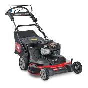 30" Toro TimeMaster Mower with Personal Pace (21219)