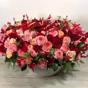 Red Porcelain