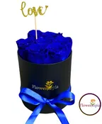 7 PRESERVED  BLUE ROSES IN A ROUND BOX