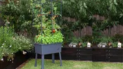 Self-Watering 15.75" x 23.5" x 57" Elevated Planter w/ Trellis Frame and Greenhouse Cover