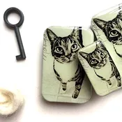 Cat Notions Tin