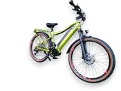 Corvi Custom E-xc+ 600r  green and clean