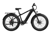 Basalt 2.0 Ebike