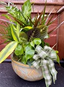 12" DISHGARDEN