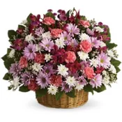 Rainbow Basket